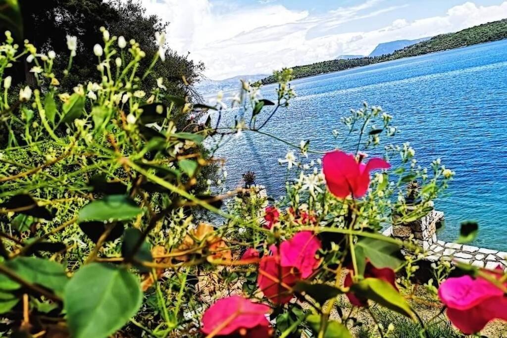 Villa Violeta Lefkada Nydri Dış mekan fotoğraf
