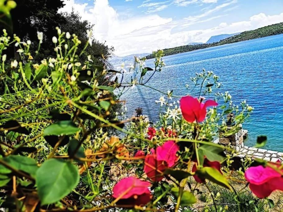 Villa Violeta Lefkada Nydri Dış mekan fotoğraf